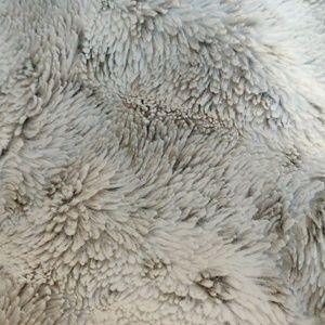 Meet your Posher, Lance